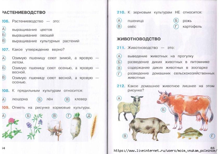 Контрольно измерительный тест по окружающему миру. Тест окружающий мир 3 класс Плешаков Растениеводство. Тесты по окружающему миру 4 класс Плешаков. Тест окружающий мир номера. Тест по окружающему миру на воде и в лесу.