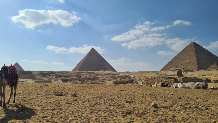 20210924_151908 (700x393, 325Kb)