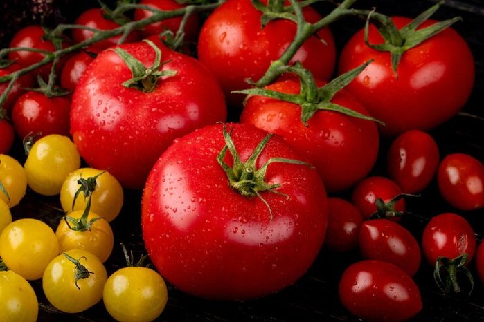 помидоры польза для здоровья дневник линикорд (700x466, 62Kb)