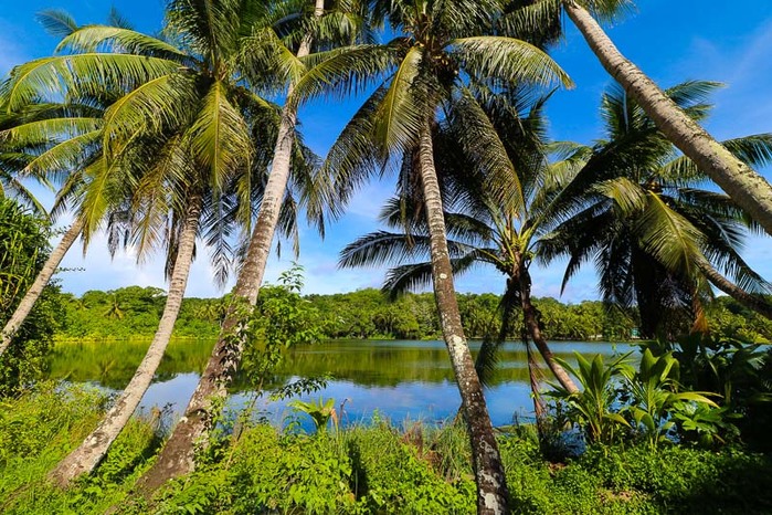 nauru_buada_lagoon-1212 (900x666, 175Kb)