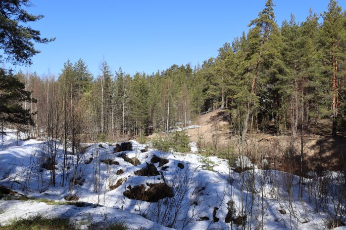 IMG_3951 (699x466, 294Kb)