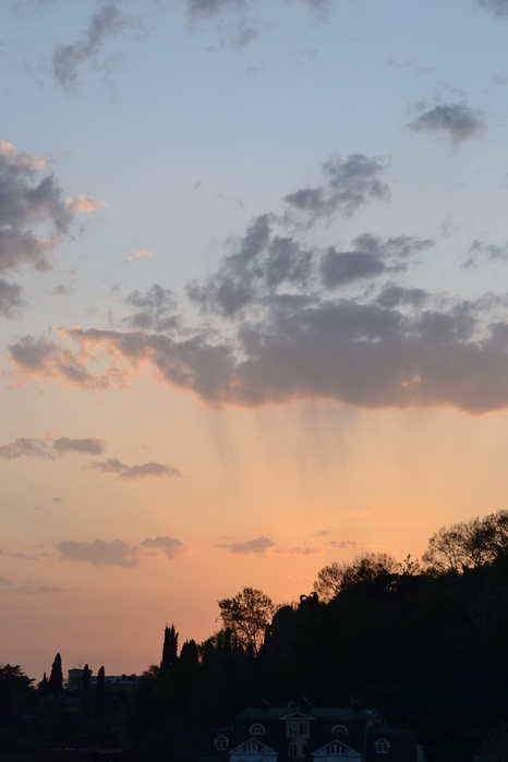 DSC_0439 (466x700, 145Kb)