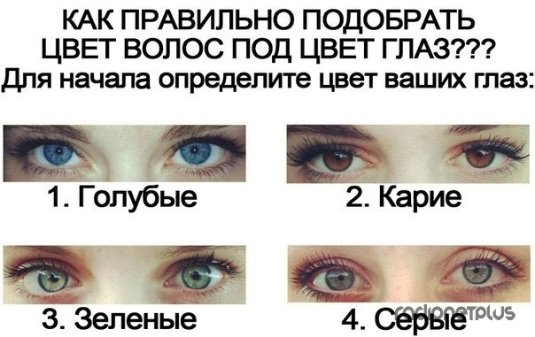 1385060551_rrqlezmjxb (604x381, 63Kb)