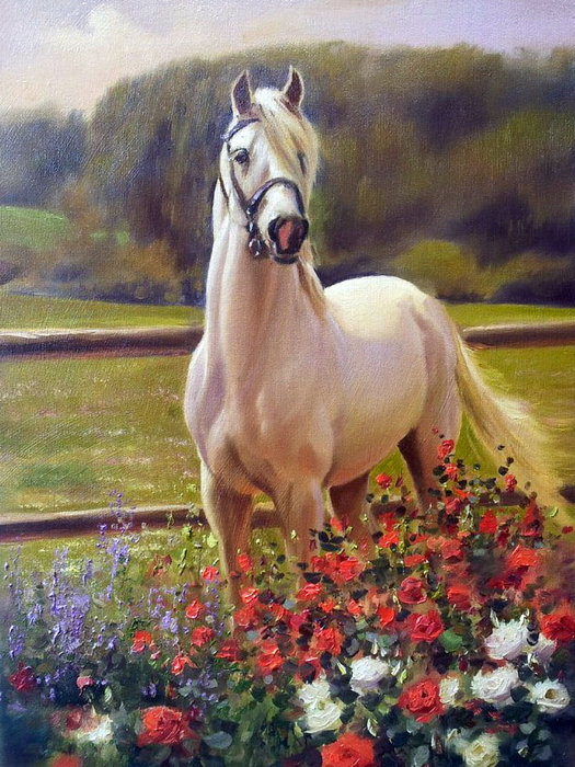 белая лошадь (525x700, 490Kb)