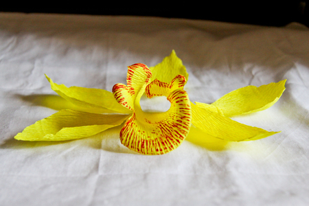 Мастер-класс Орхидеи из гофрированной бумаги (13) (450x300, 167Kb)