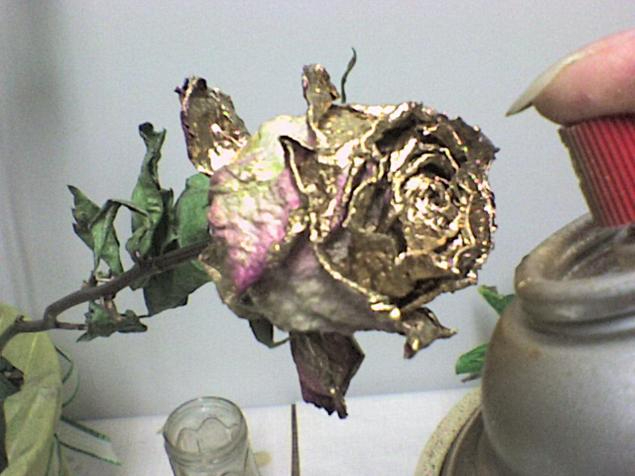 Золотой букет из засохших роз (5) (635x476, 185Kb)