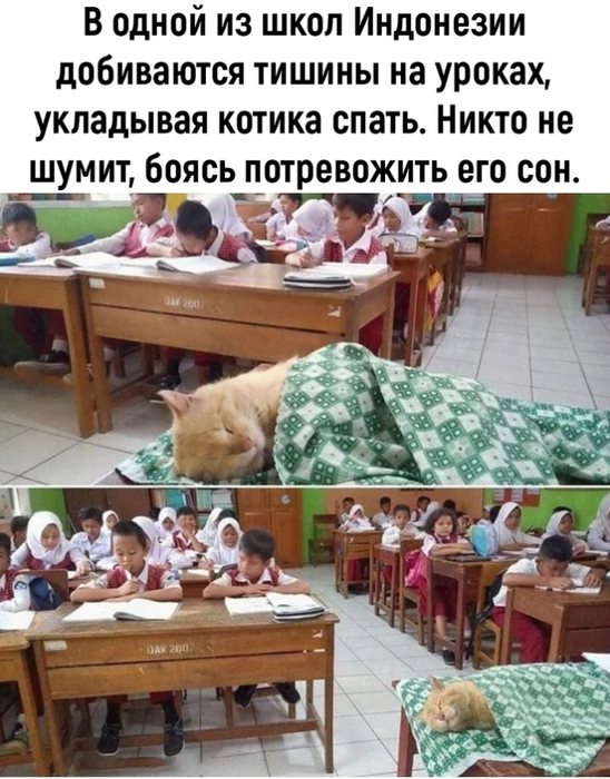 спать (548x700, 369Kb)