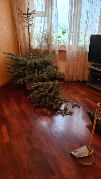 20220122_110335 (393x700, 352Kb)