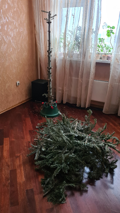 20220122_120239 (393x700, 338Kb)