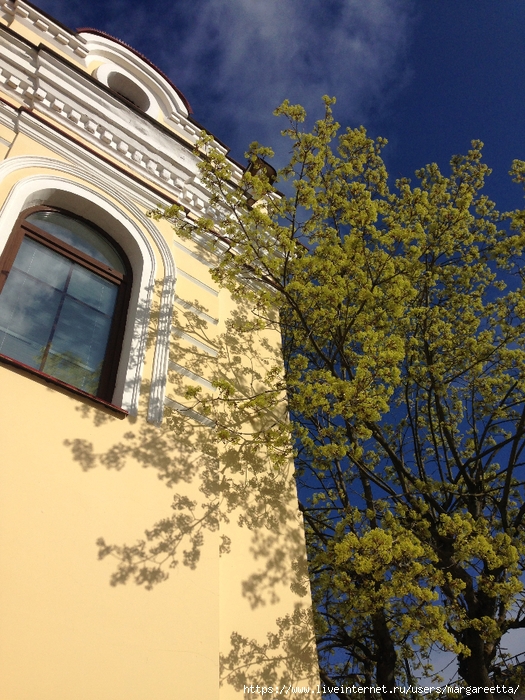 IMG_3760 (525x700, 388Kb)