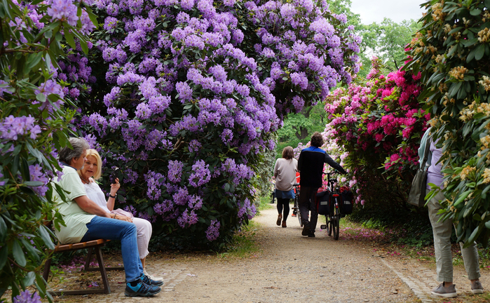 074 (700x432, 554Kb)