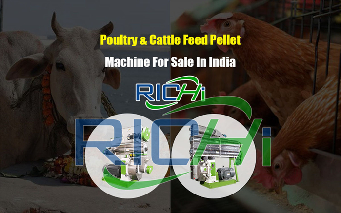 feed pelleting machine in ghana (700x437, 286Kb)