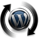 Сайт на WordPress — ИЗБАВЛЯЕМСЯ ОТ ОШИБОК (14) (158x157, 9Kb)