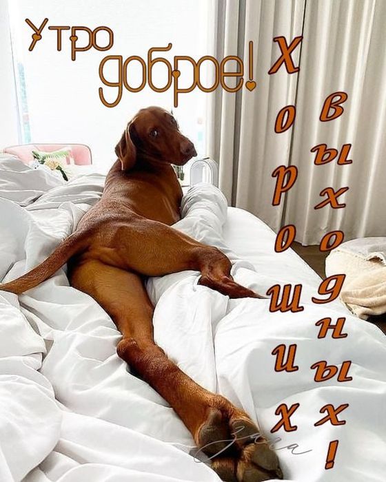 96ed6456176ad28a589f673c08122055 (560x700, 71Kb)