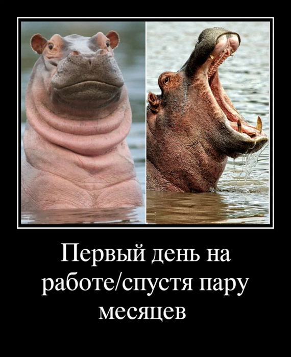 Ничего ч