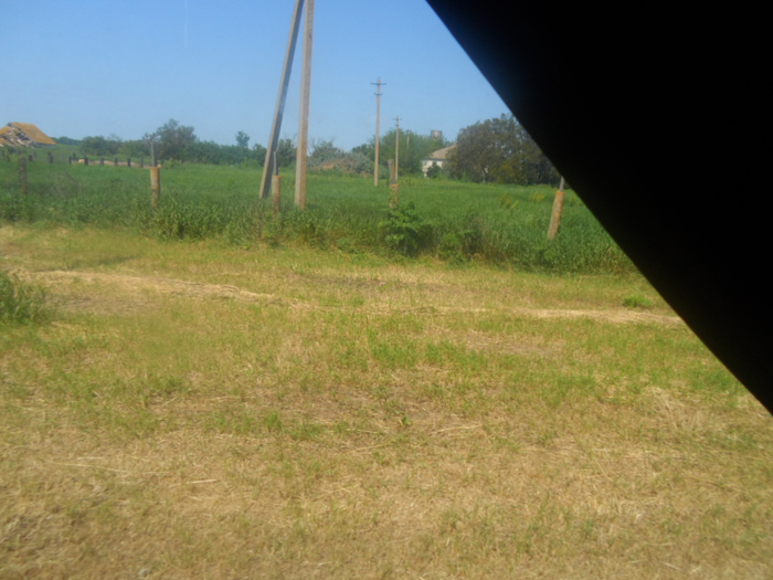 SAM_4224 (700x525, 364Kb)