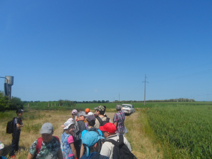 SAM_4227 (700x525, 319Kb)