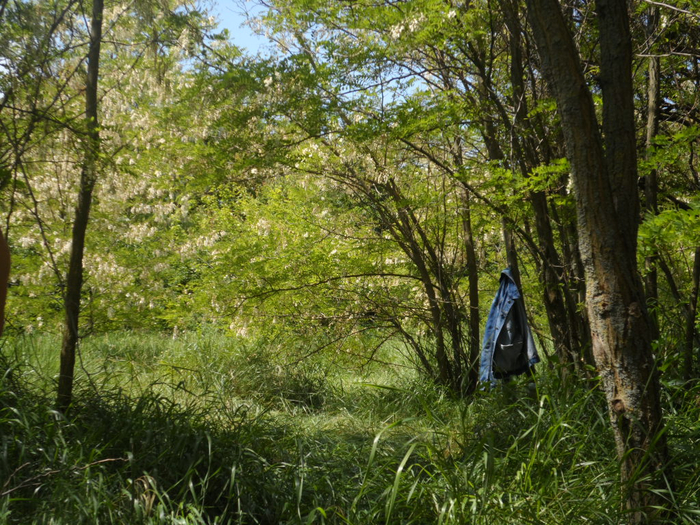 SAM_4239 (700x525, 570Kb)