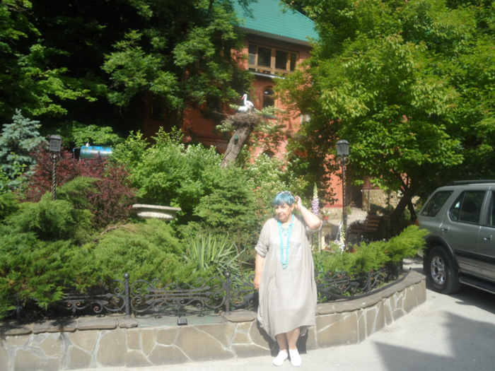 SAM_4308 (700x525, 472Kb)