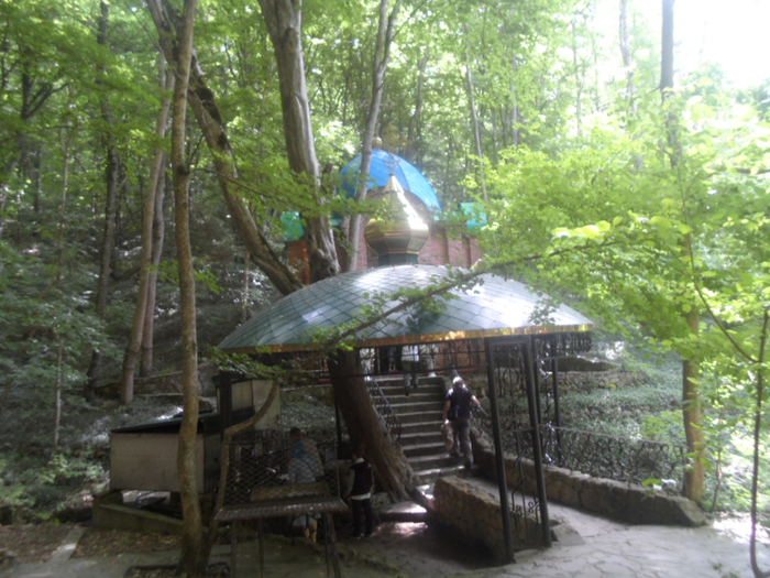 SAM_4320 (700x525, 452Kb)