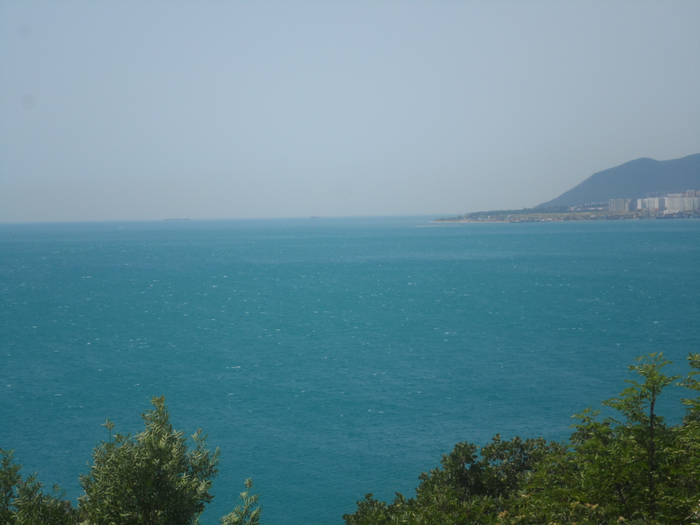 SAM_4335 (700x525, 302Kb)