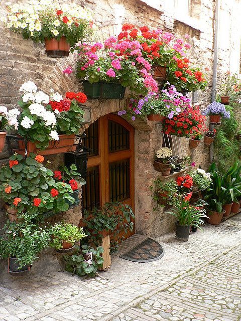 spello (780x940, 114Kb)
