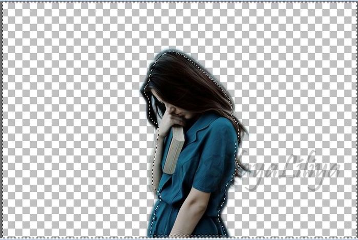 3585158_shag_4 (700x469, 68Kb)
