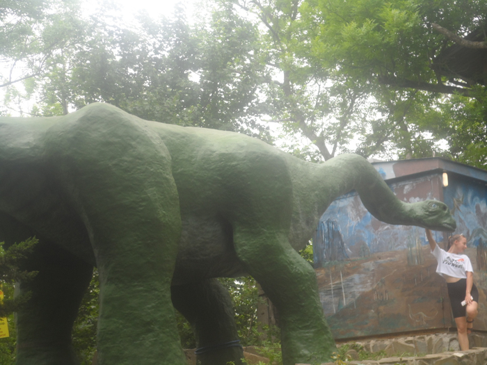 SAM_4397 (700x525, 381Kb)