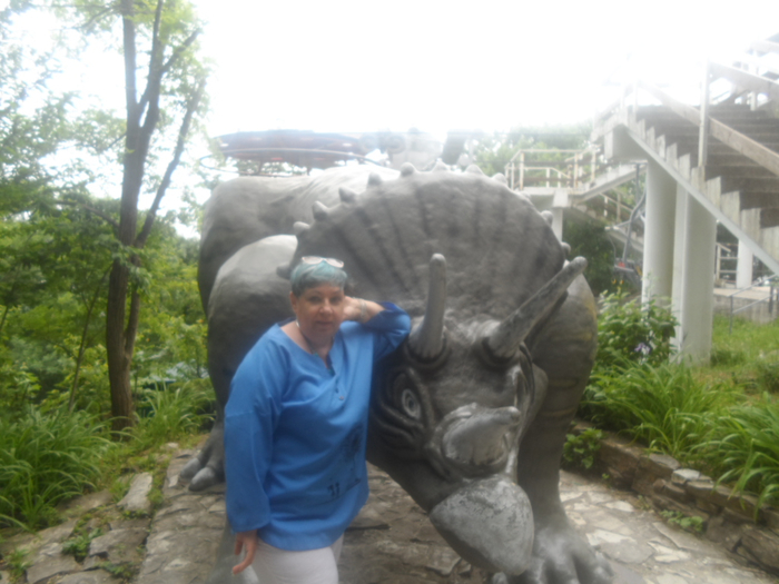 SAM_4393 (700x525, 334Kb)