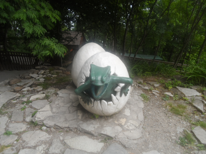 SAM_4395 (700x525, 368Kb)