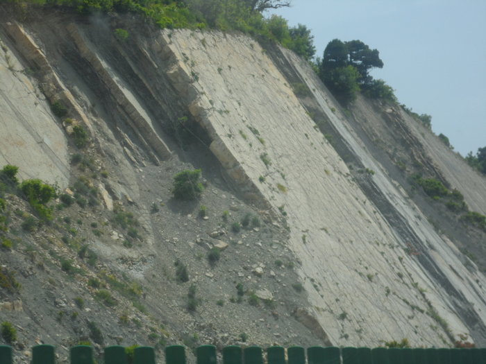 SAM_4337 (700x525, 385Kb)