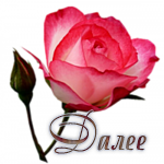 роза (150x150, 46Kb)