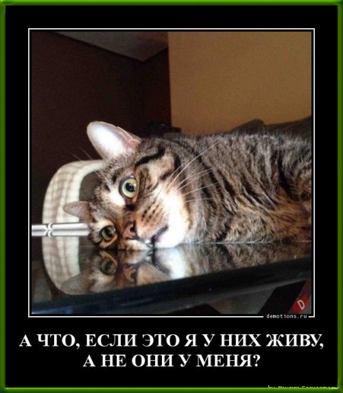2-(26) (500x573, 161Kb)