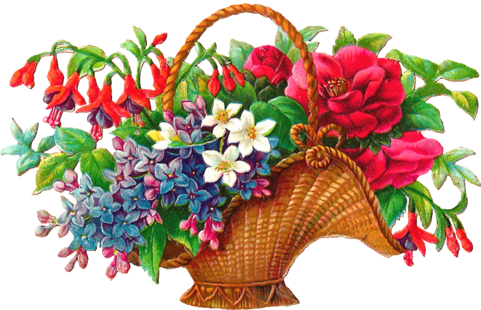 50-507321_antique-images-free-flower-basket-clip-art-2 (700x452, 553Kb)