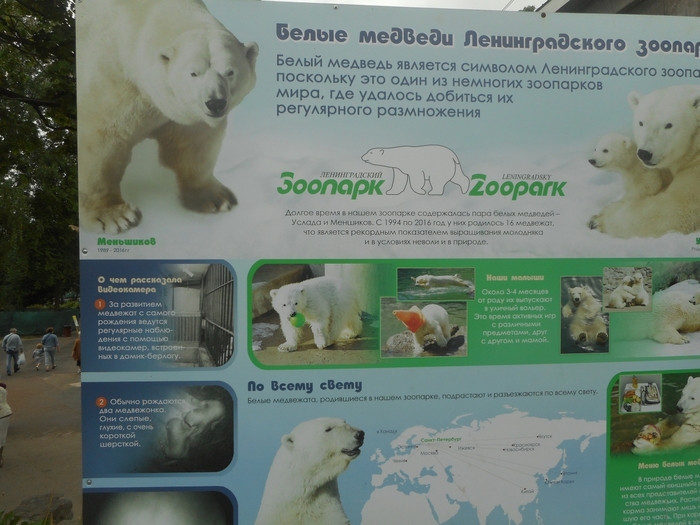 Ленинградский зоопарк цена билета 2024