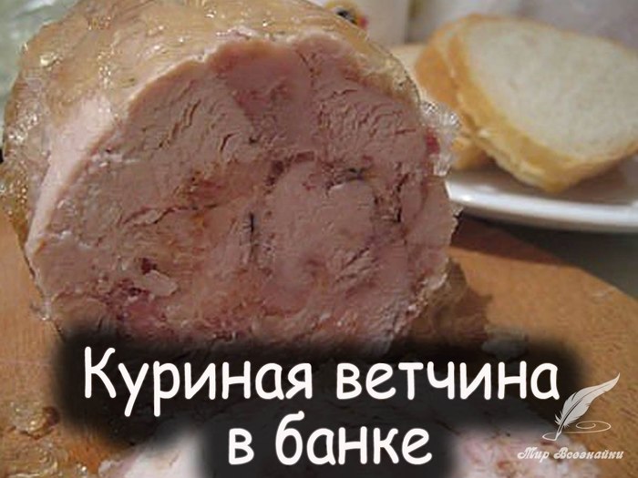 2835299_Kyrinaya_vetchina_v_banke (700x525, 67Kb)