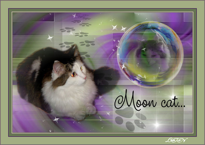 5075966_Moon_cat 825x583, 69Kb)