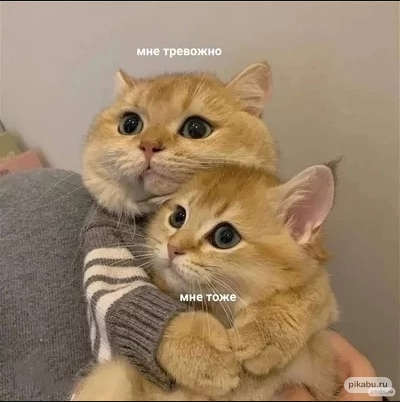 котики донецкие (400x402, 299Kb)