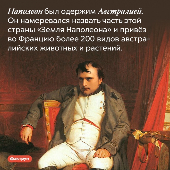 5402287_53 (700x700, 368Kb)