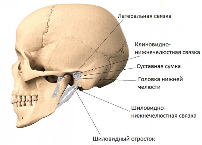 5774028_yaketanov (671x483, 45Kb)