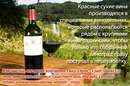 wine-red-dry__ (500x333, 161Kb)