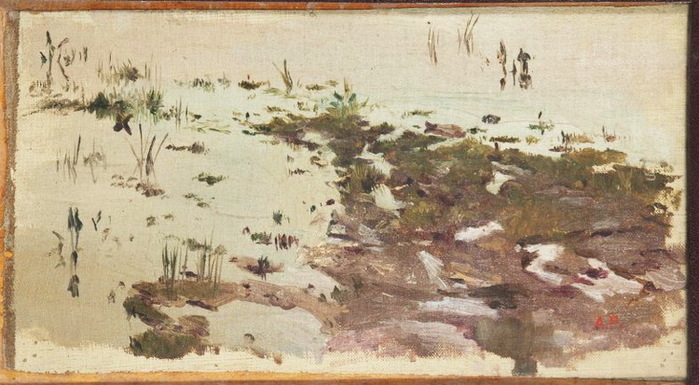 Грязная картина 2011