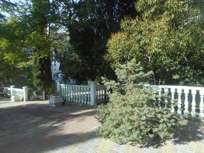 4878453_DSCN6100 (700x525, 373Kb)