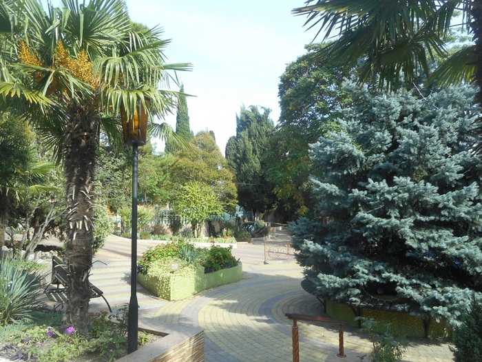 4878453_DSCN6080 (700x525, 357Kb)