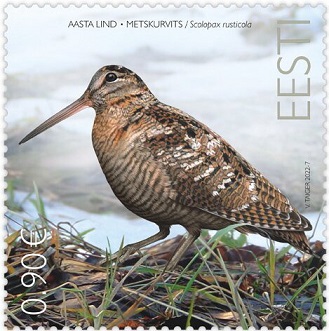 Eurasian-Woodcock-Scolopax-rusticola (329x331, 56Kb)