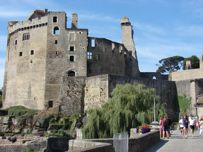 Le_Chateau,_Clisson,_Poire,_France_-_panoramio (700x525, 551Kb)