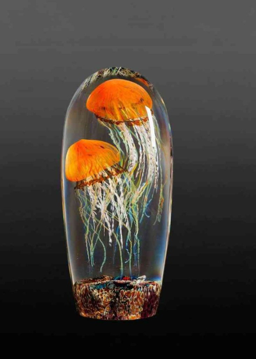 double-pacific-coast-jellyfish.-rick-satava-731x1024 (499x700, 161Kb)