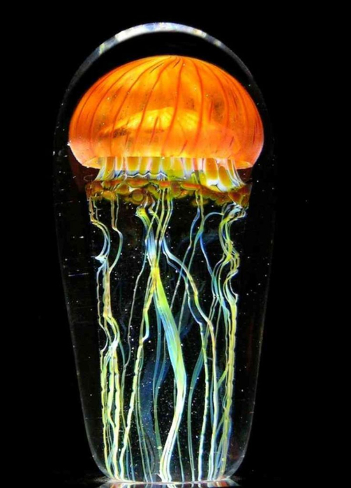 pacific-coast-jellyfish.-rick-satava-736x1024 (503x700, 228Kb)