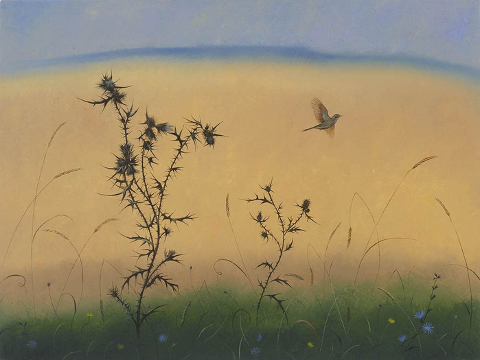 05_Corn-Bunting-1000x751_c (700x525, 283Kb)