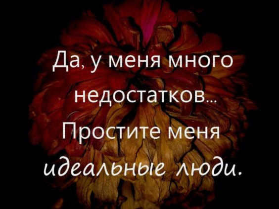 3416556_28ed6909d038cc79fa33281ec8b388e5 (564x423, 34Kb)